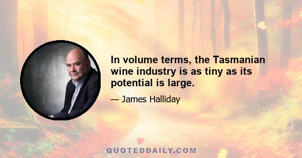 In volume terms, the Tasmanian wine industry is as tiny as its potential is large.