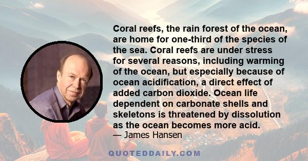 Coral reefs, the rain forest of the ocean, are home for one-third of the species of the sea. Coral reefs are under stress for several reasons, including warming of the ocean, but especially because of ocean