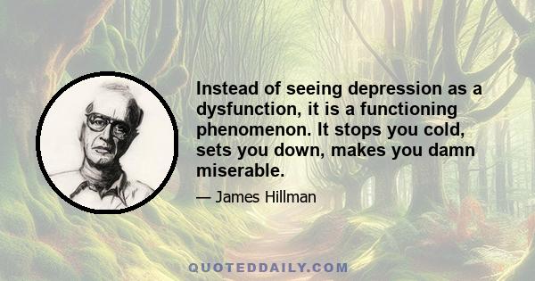 Instead of seeing depression as a dysfunction, it is a functioning phenomenon. It stops you cold, sets you down, makes you damn miserable.