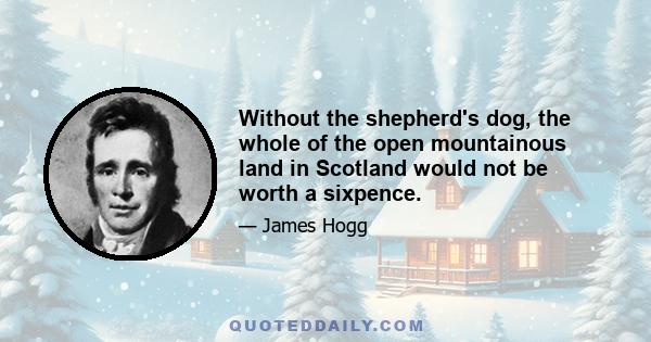 Without the shepherd's dog, the whole of the open mountainous land in Scotland would not be worth a sixpence.