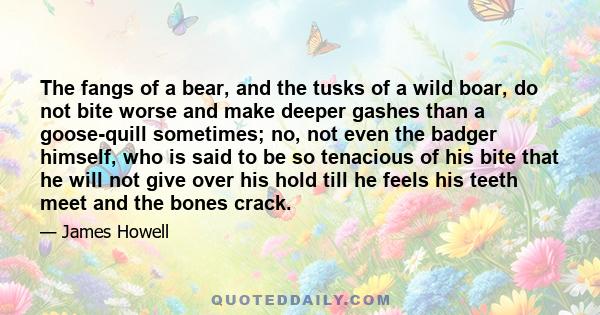 The fangs of a bear, and the tusks of a wild boar, do not bite worse and make deeper gashes than a goose-quill sometimes; no, not even the badger himself, who is said to be so tenacious of his bite that he will not give 