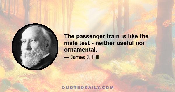 The passenger train is like the male teat - neither useful nor ornamental.