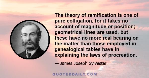 The theory of ramification is one of pure colligation, for it takes no account of magnitude or position; geometrical lines are used, but these have no more real bearing on the matter than those employed in genealogical