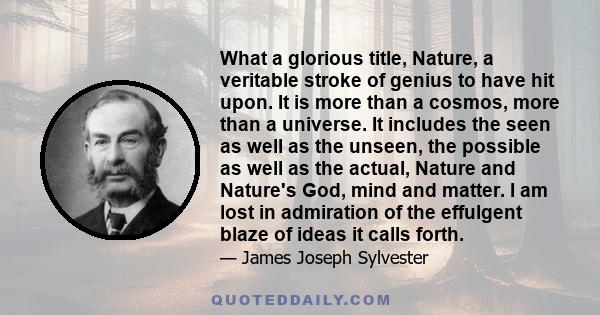 What a glorious title, Nature, a veritable stroke of genius to have hit upon. It is more than a cosmos, more than a universe. It includes the seen as well as the unseen, the possible as well as the actual, Nature and