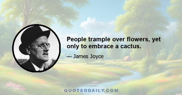 People trample over flowers, yet only to embrace a cactus.