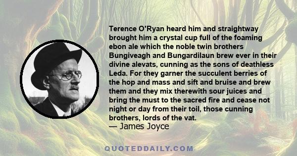 Terence O'Ryan heard him and straightway brought him a crystal cup full of the foaming ebon ale which the noble twin brothers Bungiveagh and Bungardilaun brew ever in their divine alevats, cunning as the sons of