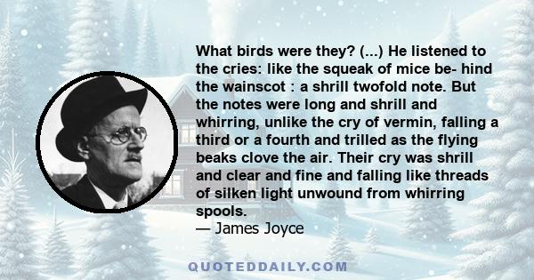 What birds were they? (...) He listened to the cries: like the squeak of mice be- hind the wainscot : a shrill twofold note. But the notes were long and shrill and whirring, unlike the cry of vermin, falling a third or