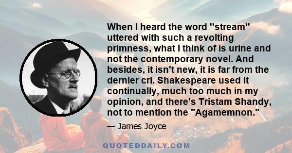 When I heard the word ''stream'' uttered with such a revolting primness, what I think of is urine and not the contemporary novel. And besides, it isn't new, it is far from the dernier cri. Shakespeare used it