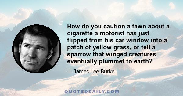 How do you caution a fawn about a cigarette a motorist has just flipped from his car window into a patch of yellow grass, or tell a sparrow that winged creatures eventually plummet to earth?