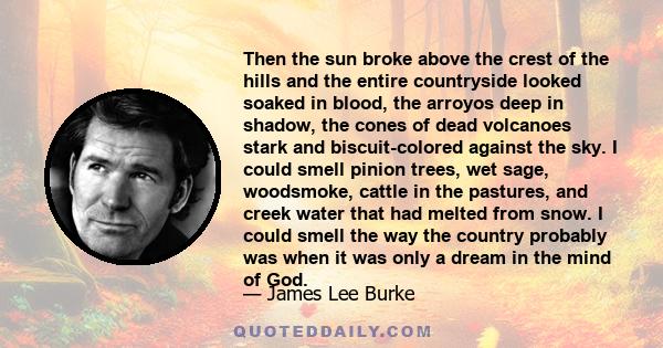 Then the sun broke above the crest of the hills and the entire countryside looked soaked in blood, the arroyos deep in shadow, the cones of dead volcanoes stark and biscuit-colored against the sky. I could smell pinion