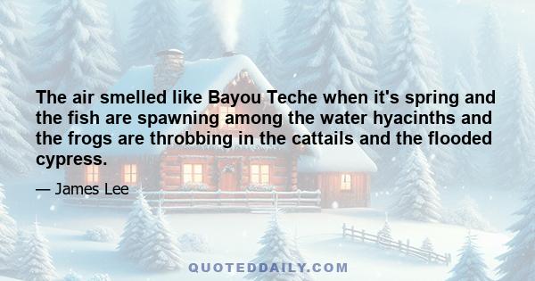 The air smelled like Bayou Teche when it's spring and the fish are spawning among the water hyacinths and the frogs are throbbing in the cattails and the flooded cypress.