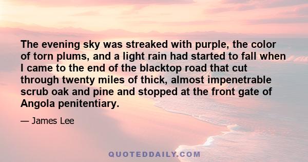 The evening sky was streaked with purple, the color of torn plums, and a light rain had started to fall when I came to the end of the blacktop road that cut through twenty miles of thick, almost impenetrable scrub oak