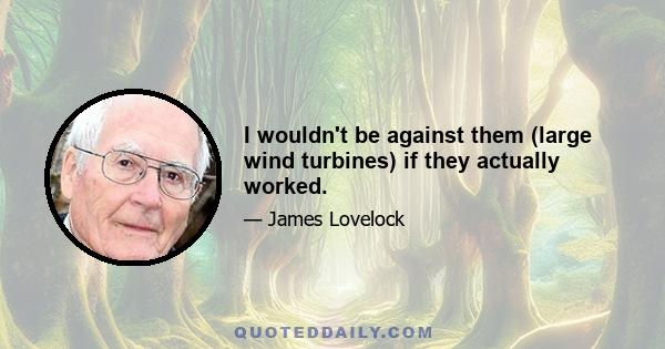 I wouldn't be against them (large wind turbines) if they actually worked.