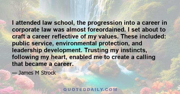 I attended law school, the progression into a career in corporate law was almost foreordained. I set about to craft a career reflective of my values. These included: public service, environmental protection, and