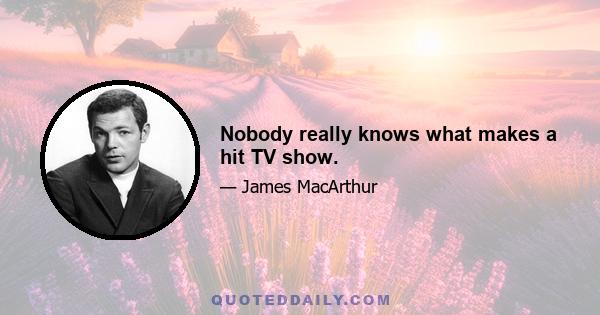 Nobody really knows what makes a hit TV show.