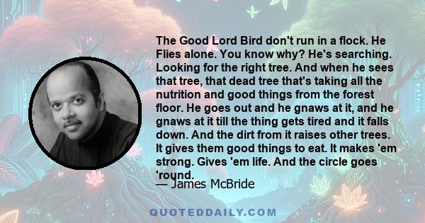 The Good Lord Bird don't run in a flock. He Flies alone. You know why? He's searching. Looking for the right tree. And when he sees that tree, that dead tree that's taking all the nutrition and good things from the