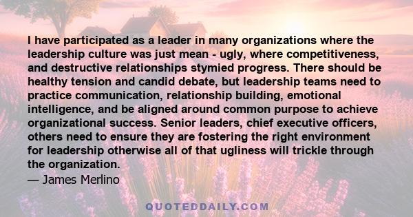 I have participated as a leader in many organizations where the leadership culture was just mean - ugly, where competitiveness, and destructive relationships stymied progress. There should be healthy tension and candid