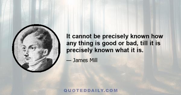 It cannot be precisely known how any thing is good or bad, till it is precisely known what it is.