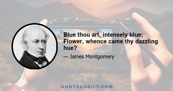 Blue thou art, intensely blue; Flower, whence came thy dazzling hue?