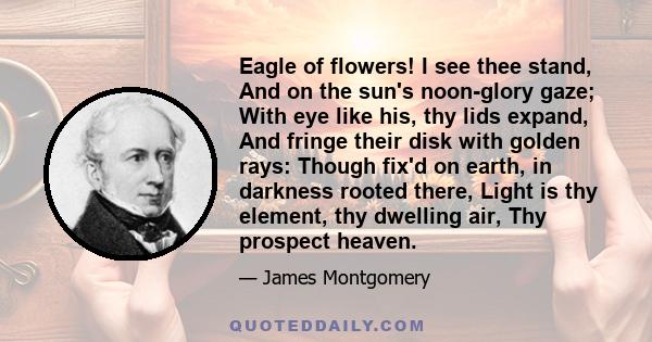 Eagle of flowers! I see thee stand, And on the sun's noon-glory gaze; With eye like his, thy lids expand, And fringe their disk with golden rays: Though fix'd on earth, in darkness rooted there, Light is thy element,