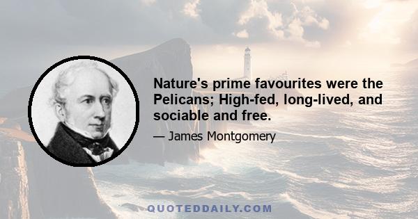 Nature's prime favourites were the Pelicans; High-fed, long-lived, and sociable and free.