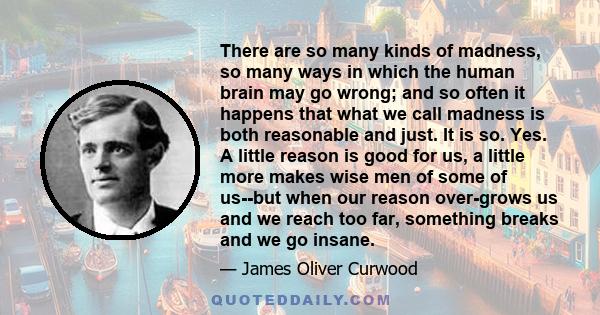 There are so many kinds of madness, so many ways in which the human brain may go wrong; and so often it happens that what we call madness is both reasonable and just. It is so. Yes. A little reason is good for us, a