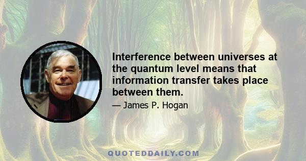 Interference between universes at the quantum level means that information transfer takes place between them.