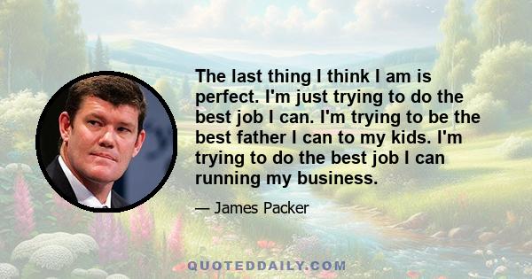 The last thing I think I am is perfect. I'm just trying to do the best job I can. I'm trying to be the best father I can to my kids. I'm trying to do the best job I can running my business.