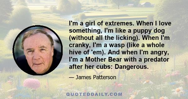 I'm a girl of extremes. When I love something, I'm like a puppy dog (without all the licking). When I'm cranky, I'm a wasp (like a whole hive of 'em). And when I'm angry, I'm a Mother Bear with a predator after her