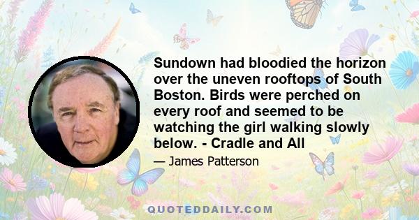 Sundown had bloodied the horizon over the uneven rooftops of South Boston. Birds were perched on every roof and seemed to be watching the girl walking slowly below. - Cradle and All