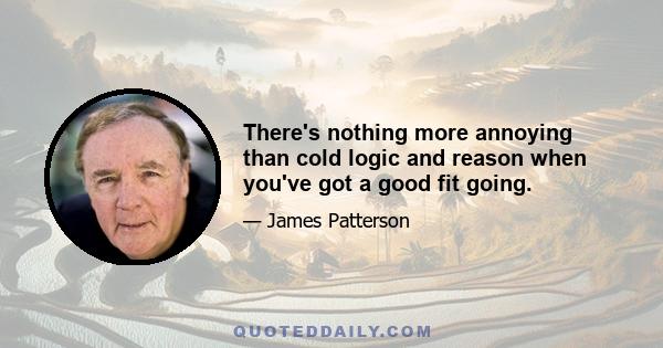 There's nothing more annoying than cold logic and reason when you've got a good fit going.