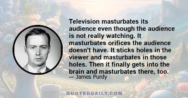 Television masturbates its audience even though the audience is not really watching. It masturbates orifices the audience doesn't have. It sticks holes in the viewer and masturbates in those holes. Then it finally gets