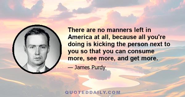 There are no manners left in America at all, because all you're doing is kicking the person next to you so that you can consume more, see more, and get more.