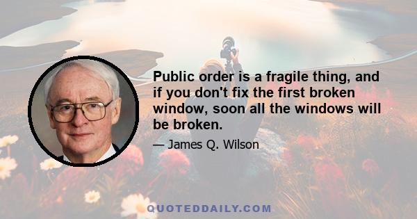 Public order is a fragile thing, and if you don't fix the first broken window, soon all the windows will be broken.