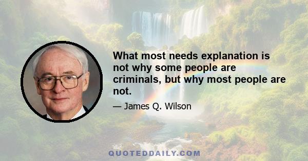 What most needs explanation is not why some people are criminals, but why most people are not.