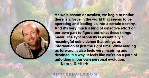 As we blossom or awaken, we begin to notice there is a force in the world that seems to be operating and leading us into a certain destiny. And it's very much a kind of detective effort on our own part to figure out