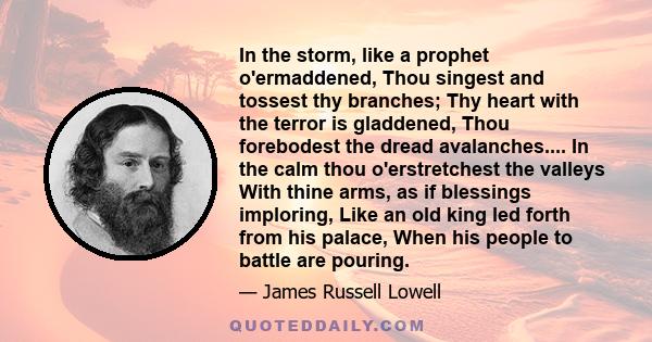 In the storm, like a prophet o'ermaddened, Thou singest and tossest thy branches; Thy heart with the terror is gladdened, Thou forebodest the dread avalanches.... In the calm thou o'erstretchest the valleys With thine