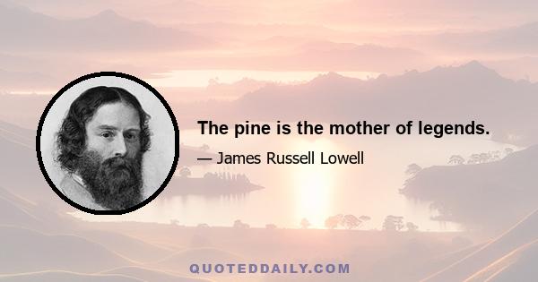 The pine is the mother of legends.