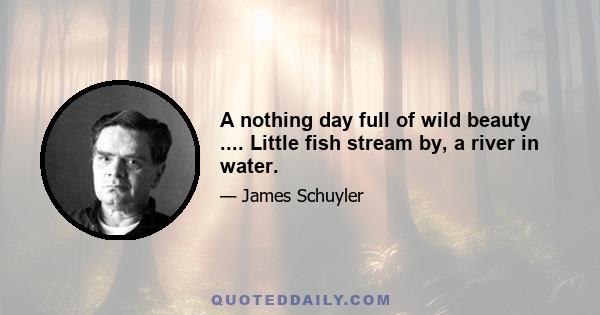 A nothing day full of wild beauty .... Little fish stream by, a river in water.