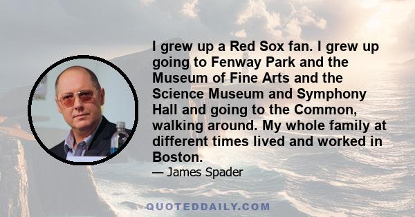 I grew up a Red Sox fan. I grew up going to Fenway Park and the Museum of Fine Arts and the Science Museum and Symphony Hall and going to the Common, walking around. My whole family at different times lived and worked