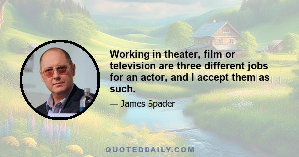 Working in theater, film or television are three different jobs for an actor, and I accept them as such.