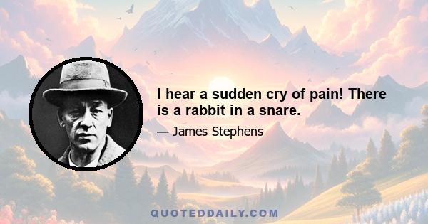 I hear a sudden cry of pain! There is a rabbit in a snare.