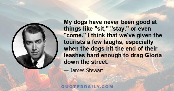 My dogs have never been good at things like sit, stay, or even come. I think that we've given the tourists a few laughs, especially when the dogs hit the end of their leashes hard enough to drag Gloria down the street.