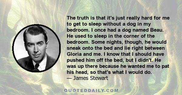 The truth is that it's just really hard for me to get to sleep without a dog in my bedroom. I once had a dog named Beau. He used to sleep in the corner of the bedroom. Some nights, though, he would sneak onto the bed