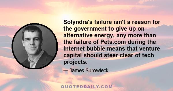 Solyndra's failure isn't a reason for the government to give up on alternative energy, any more than the failure of Pets.com during the Internet bubble means that venture capital should steer clear of tech projects.