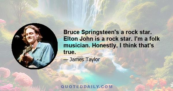 Bruce Springsteen's a rock star. Elton John is a rock star. I'm a folk musician. Honestly, I think that's true.