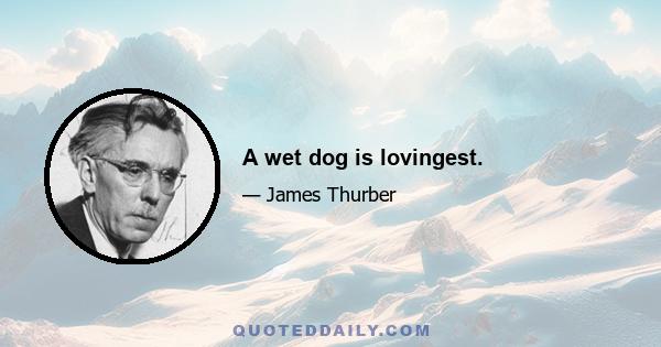 A wet dog is lovingest.