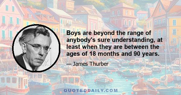 Boys are beyond the range of anybody's sure understanding, at least when they are between the ages of 18 months and 90 years.