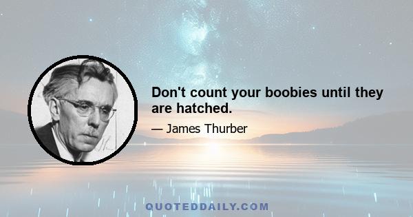 Don't count your boobies until they are hatched.