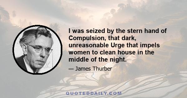 I was seized by the stern hand of Compulsion, that dark, unreasonable Urge that impels women to clean house in the middle of the night.